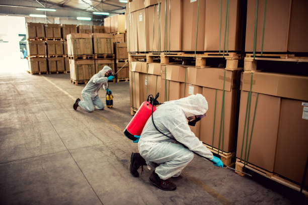 Best Pest Control Near Me  in Troy, MI