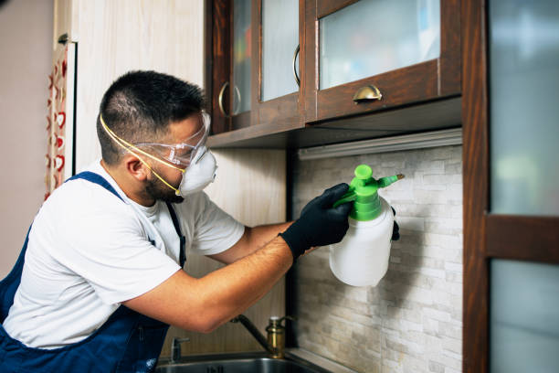 Best Mosquito Control Services  in Troy, MI