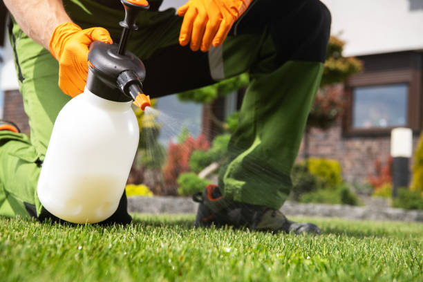 Best Residential Pest Control  in Troy, MI