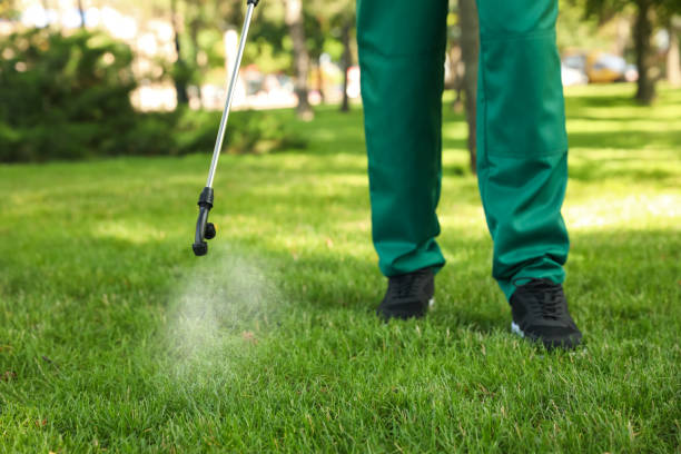 Best Pest Control Treatment  in Troy, MI