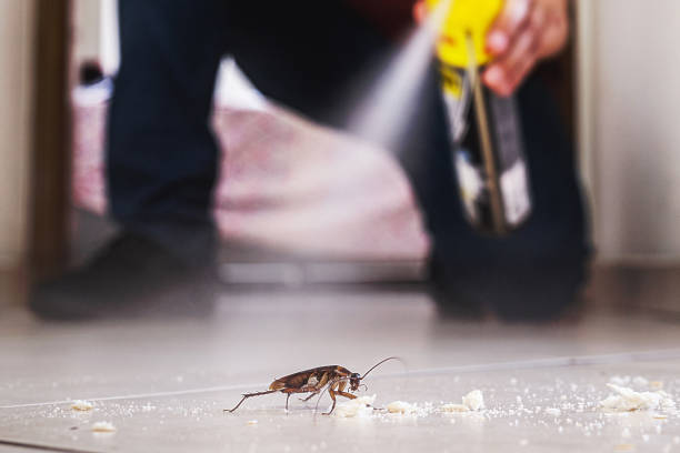 Professional Pest Control in Troy, MI