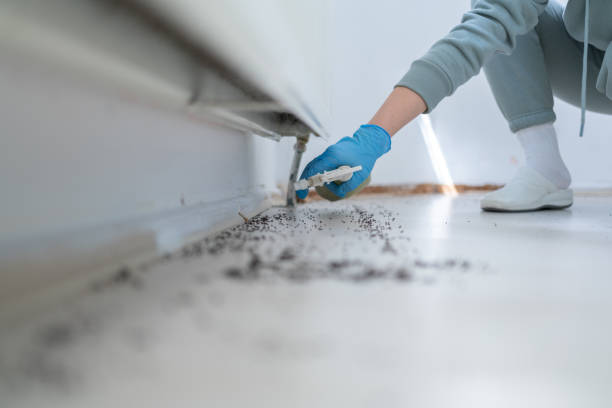 Best Pest Removal Services  in Troy, MI