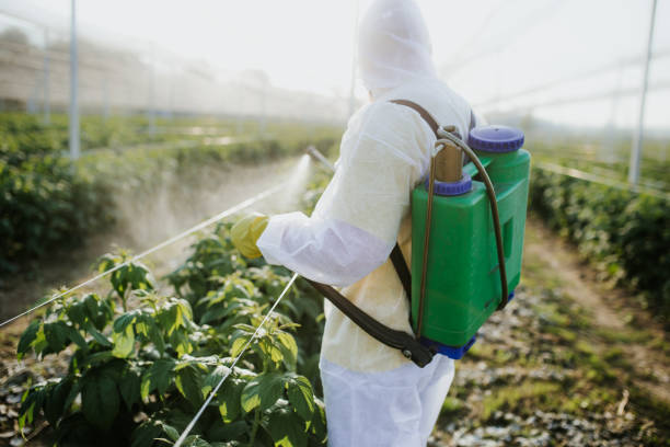 Best Pest Control for Homes  in Troy, MI